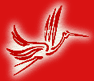 Cigogne
